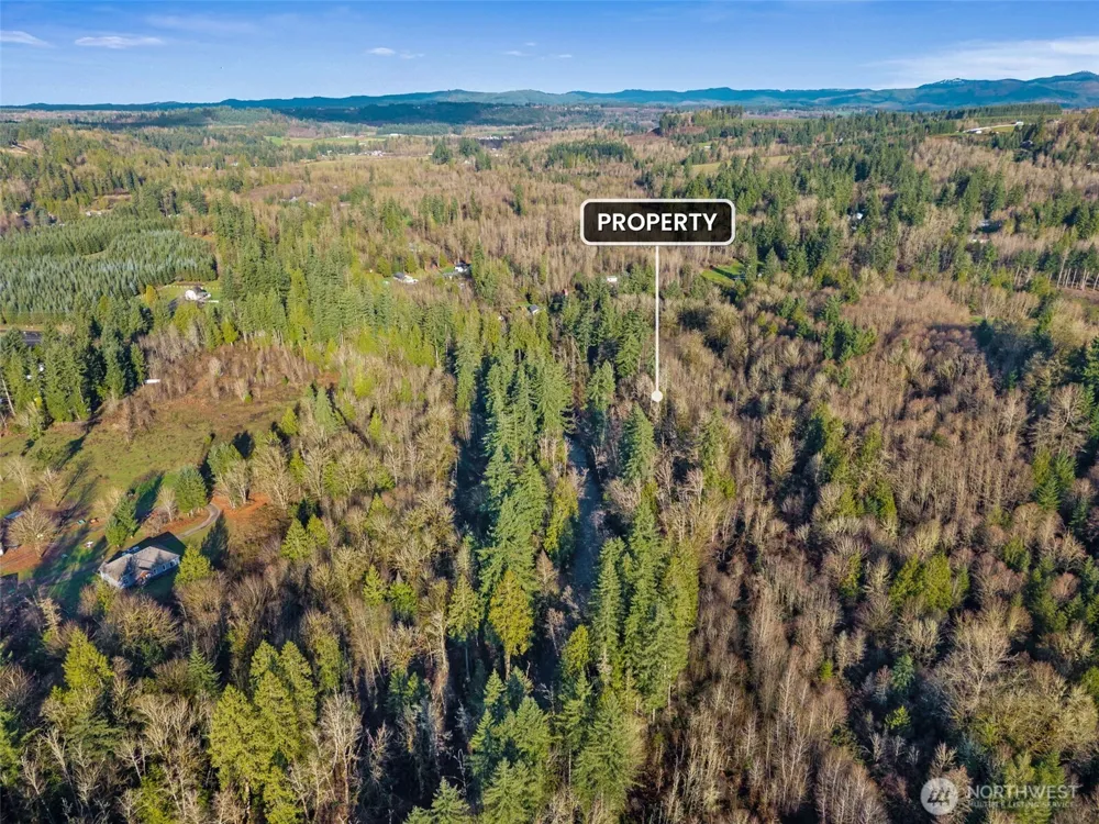 0 US Hwy 12 Mossyrock, WA 98564