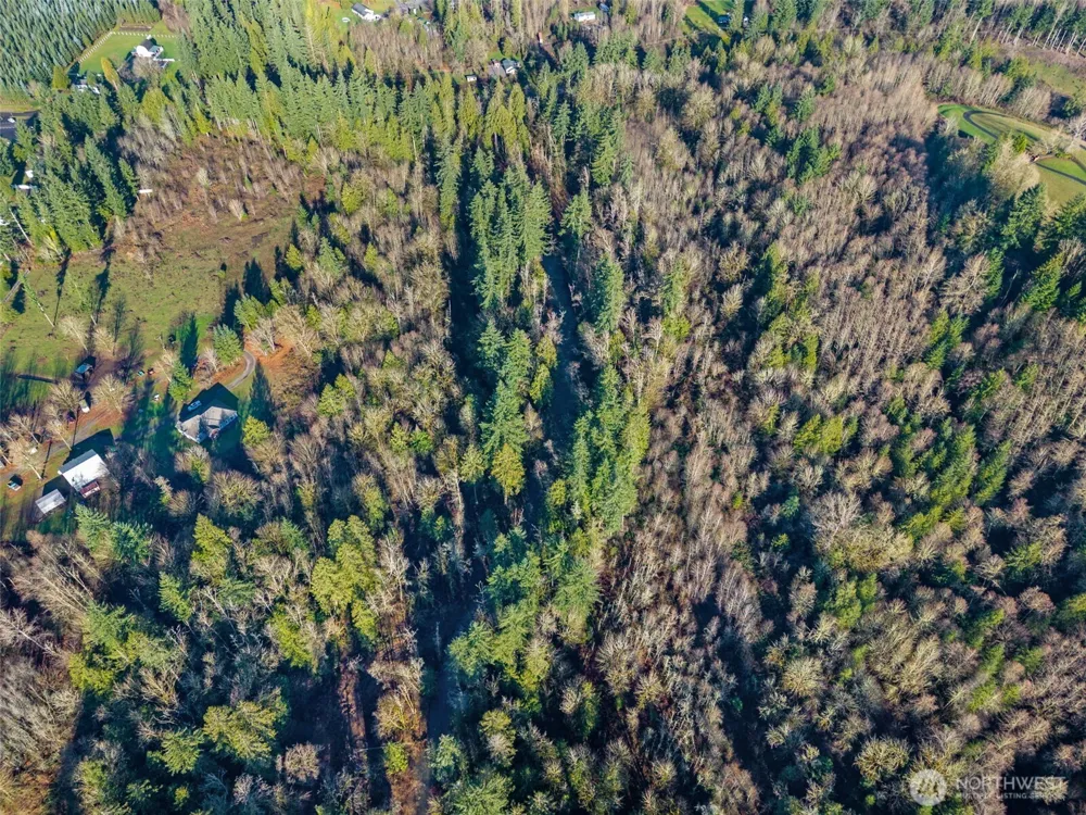 0 US Hwy 12 Mossyrock, WA 98564