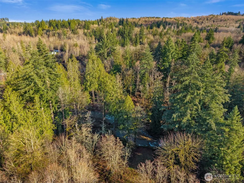 0 US Hwy 12 Mossyrock, WA 98564