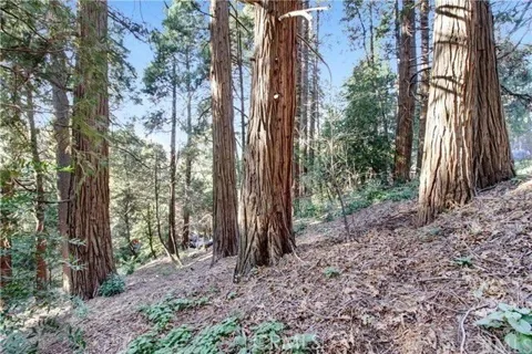 2662 Scenic