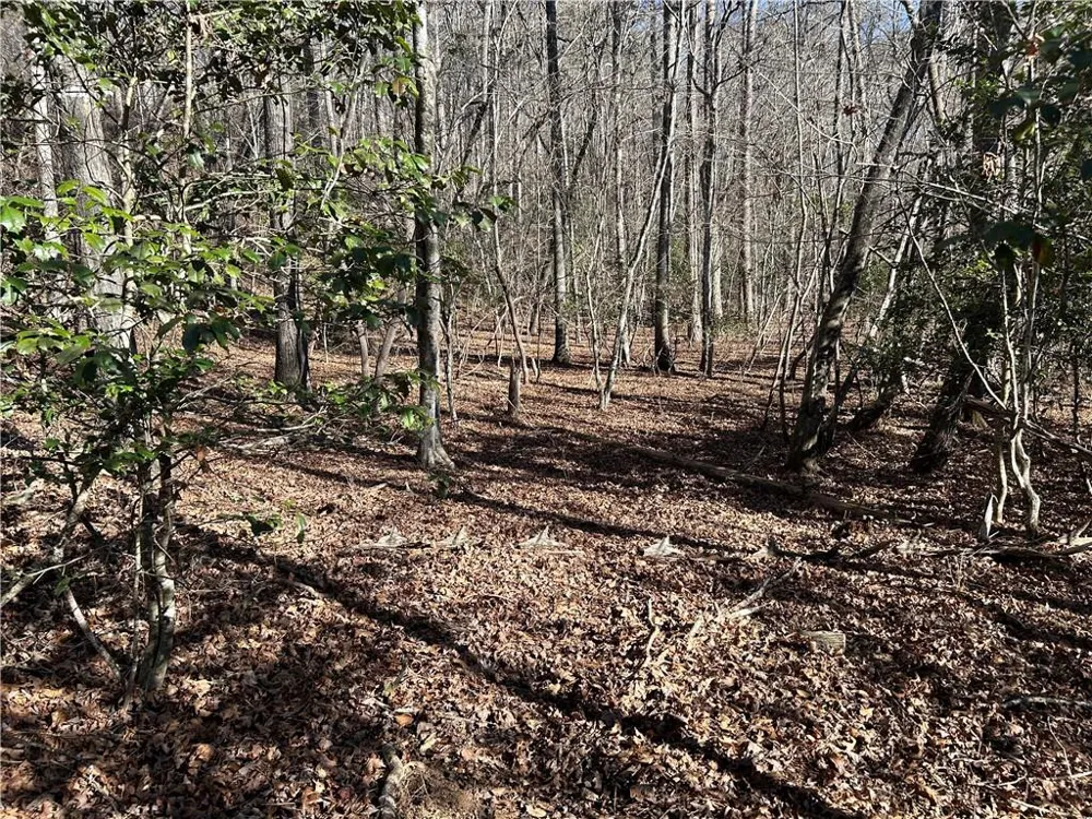 00 Twin River Orchard Road Demorest, GA 30535