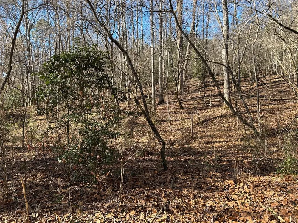 00 Twin River Orchard Road Demorest, GA 30535