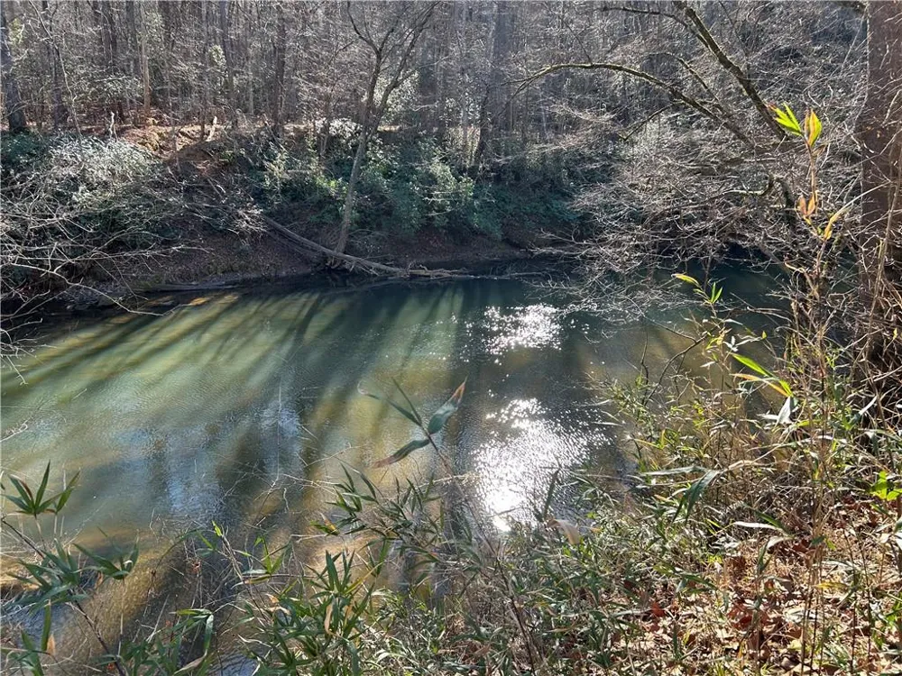 00 Twin River Orchard Road Demorest, GA 30535