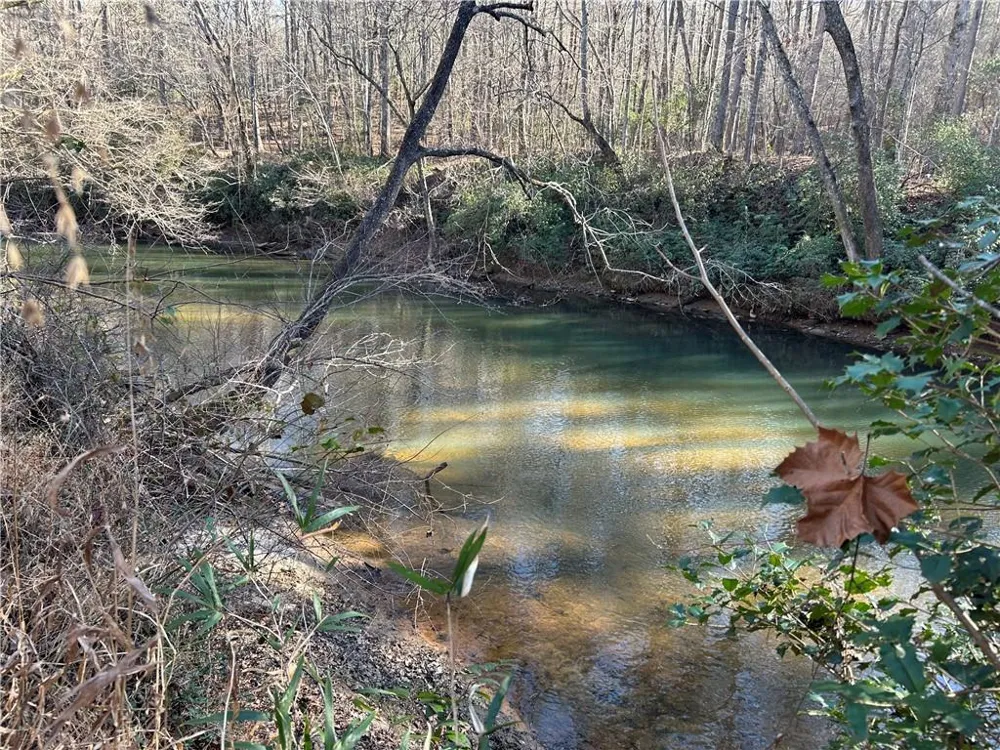 00 Twin River Orchard Road Demorest, GA 30535