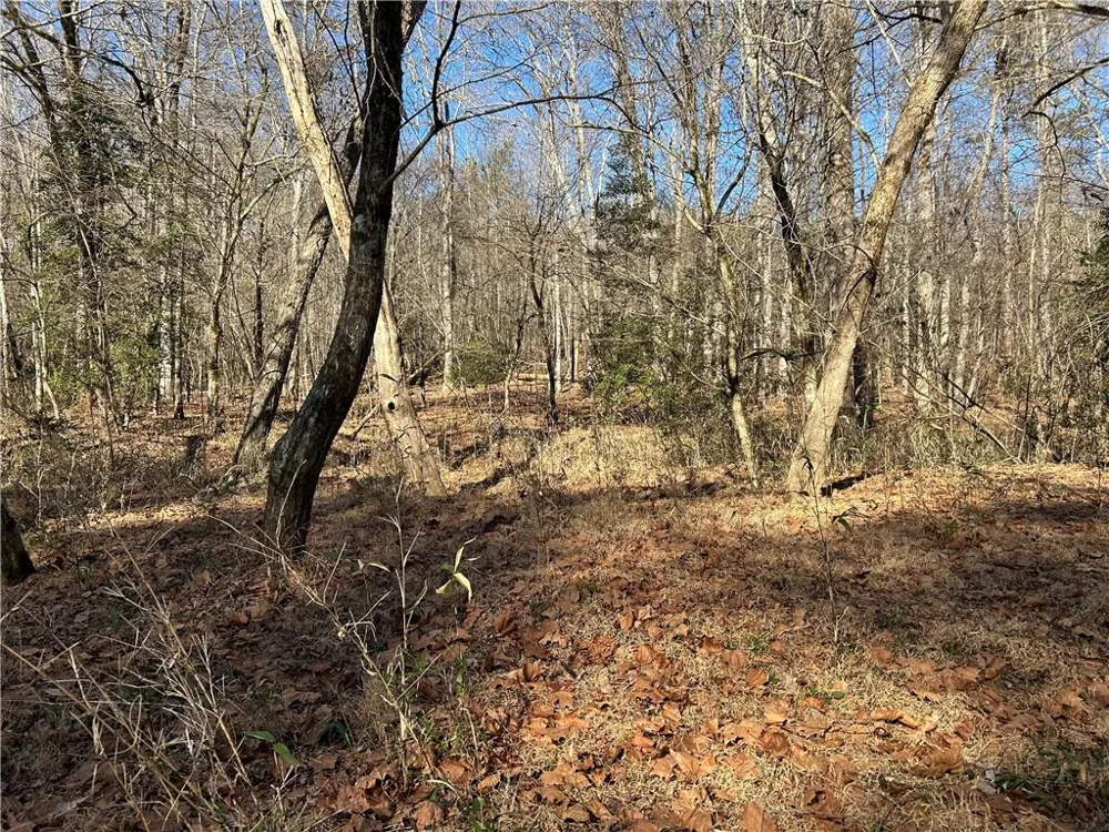 00 Twin River Orchard Road Demorest, GA 30535