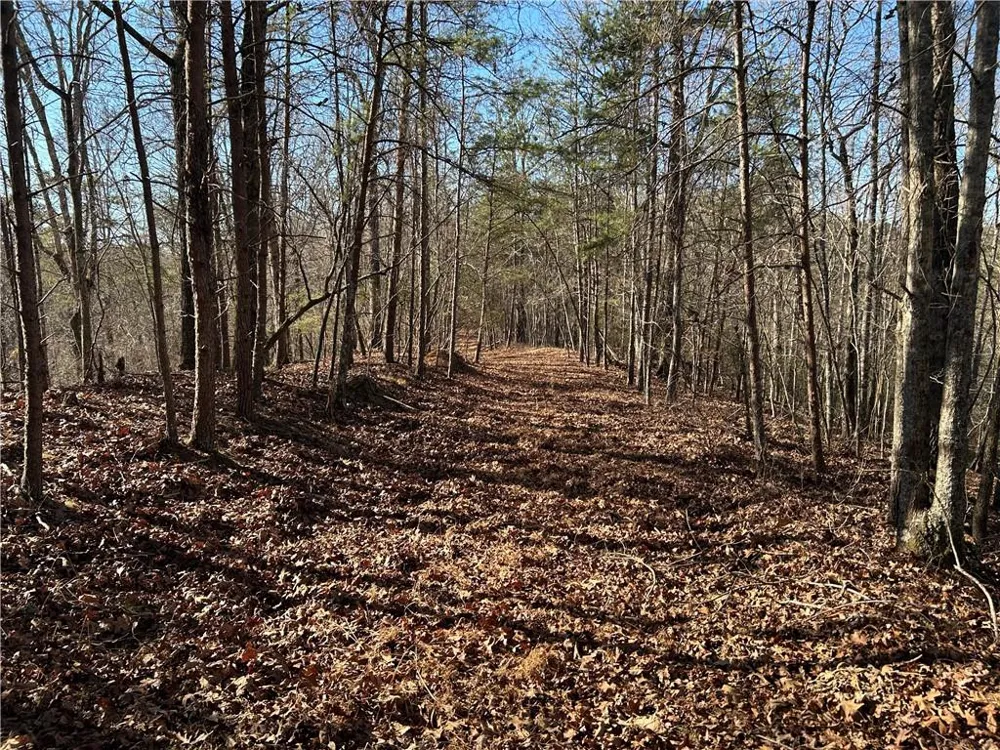 00 Twin River Orchard Road Demorest, GA 30535