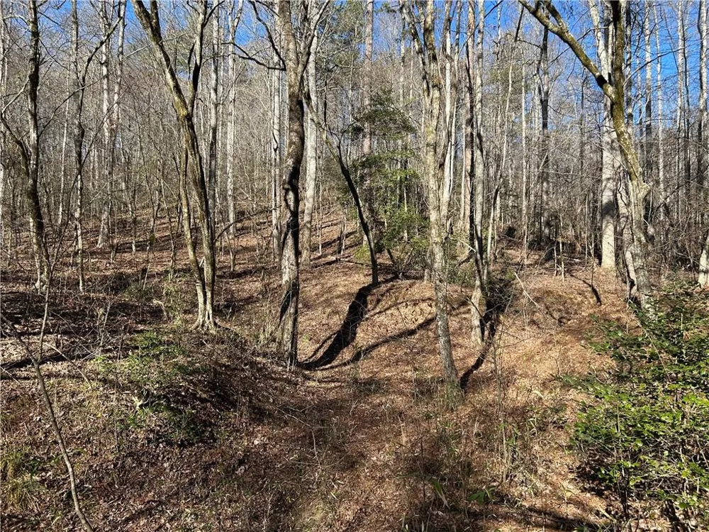 00 Twin River Orchard Road Demorest, GA 30535