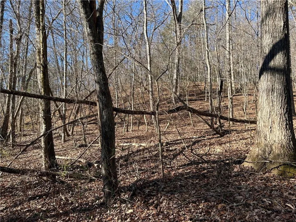 00 Twin River Orchard Road Demorest, GA 30535