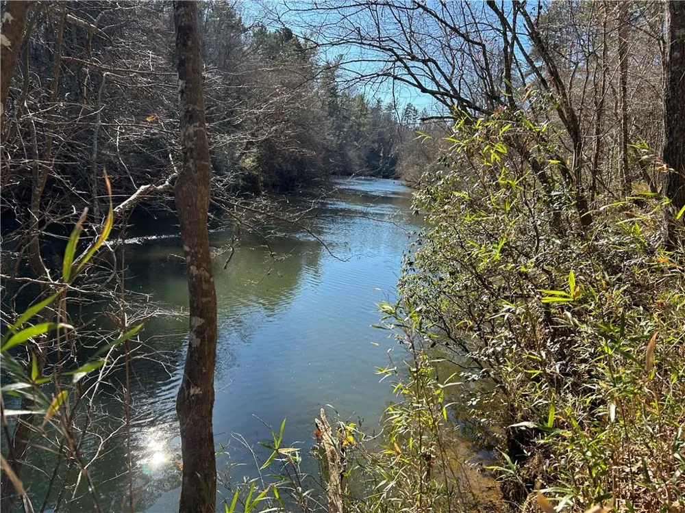 00 Twin River Orchard Road Demorest, GA 30535