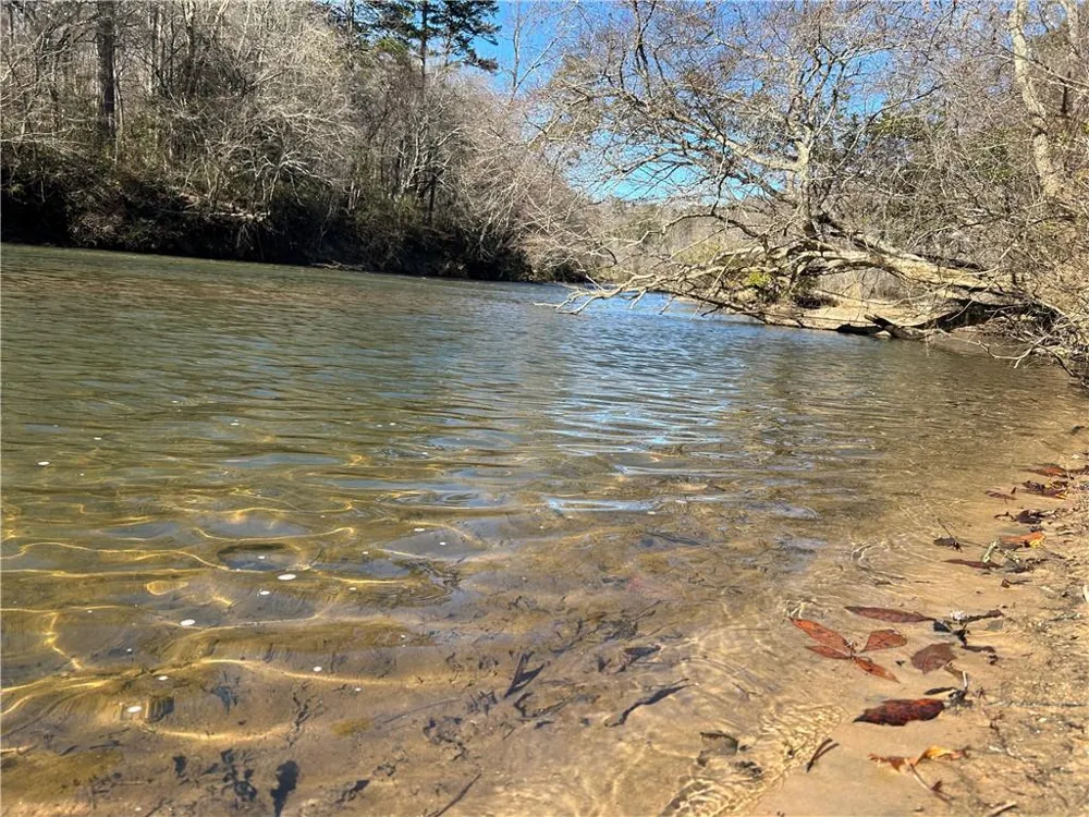 00 Twin River Orchard Road Demorest, GA 30535