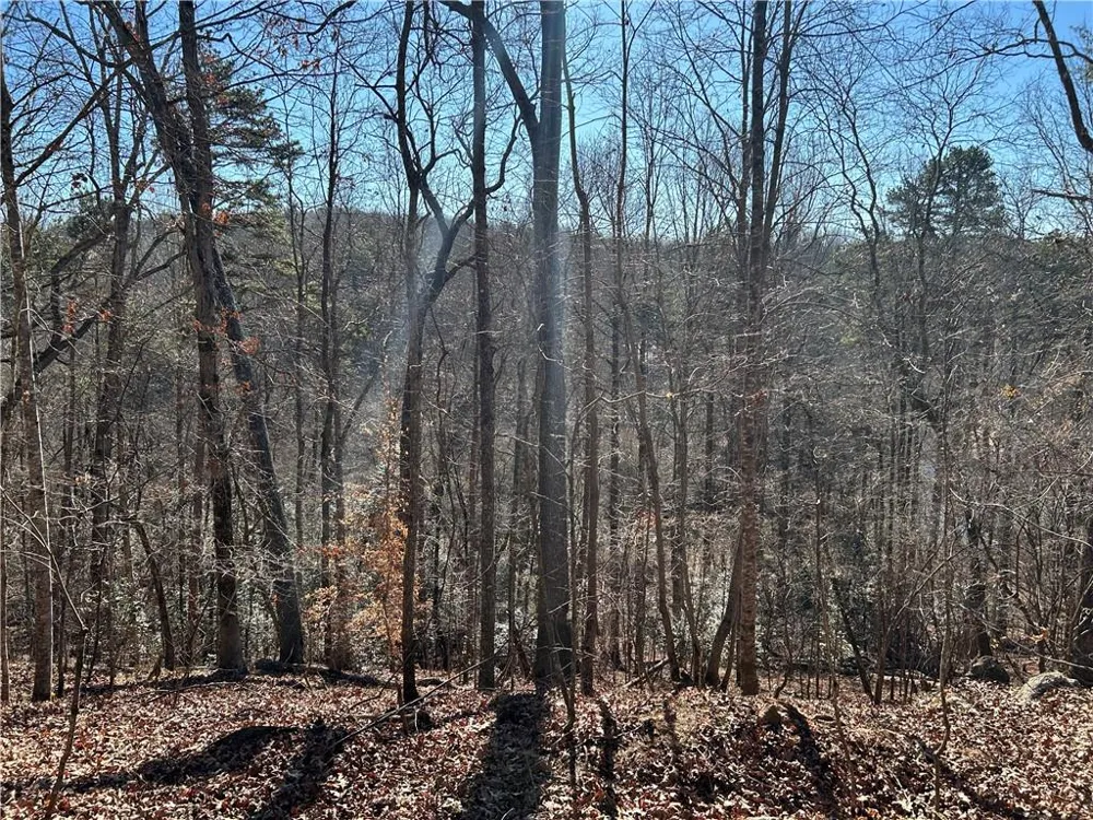 00 Twin River Orchard Road Demorest, GA 30535