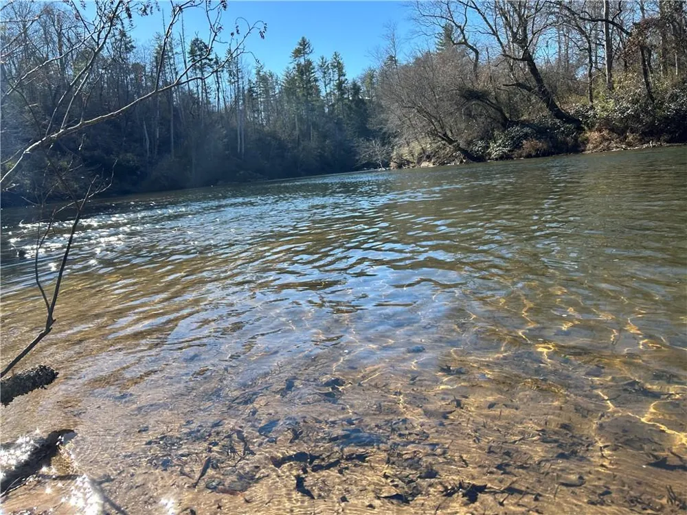 00 Twin River Orchard Road Demorest, GA 30535