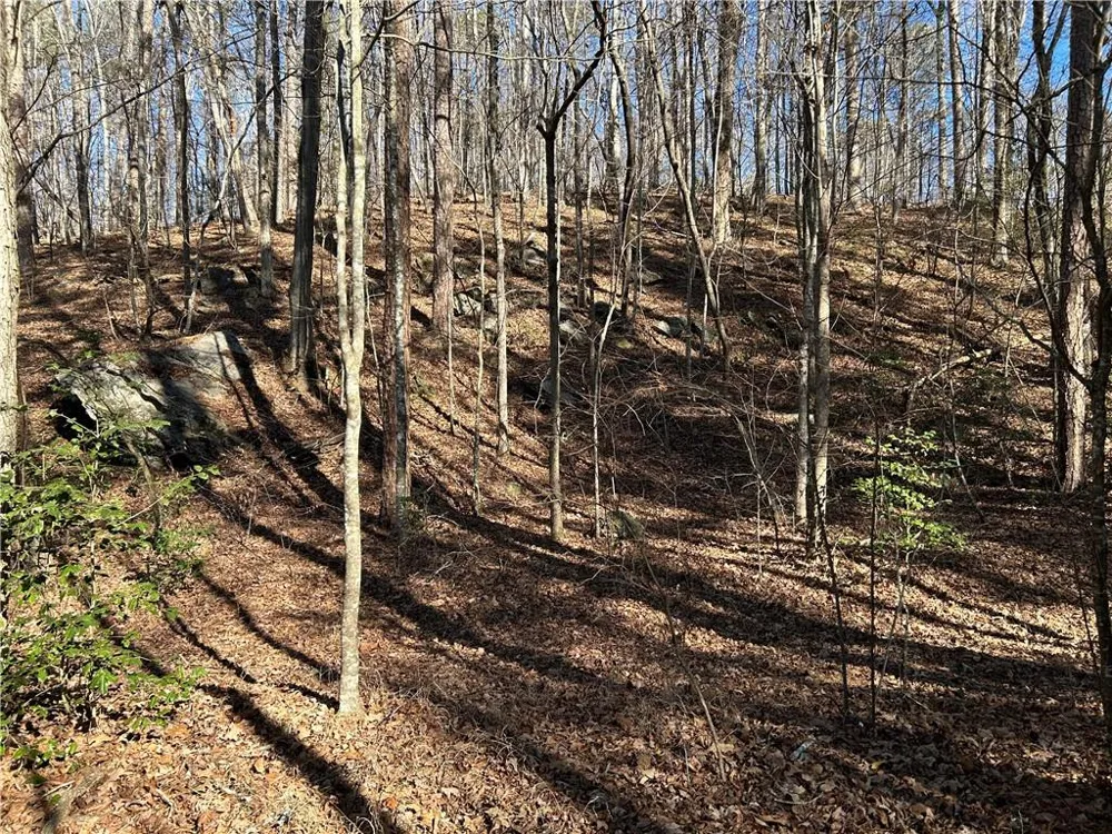 00 Twin River Orchard Road Demorest, GA 30535