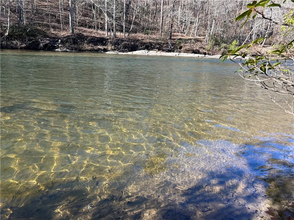 00 Twin River Orchard Road Demorest, GA 30535