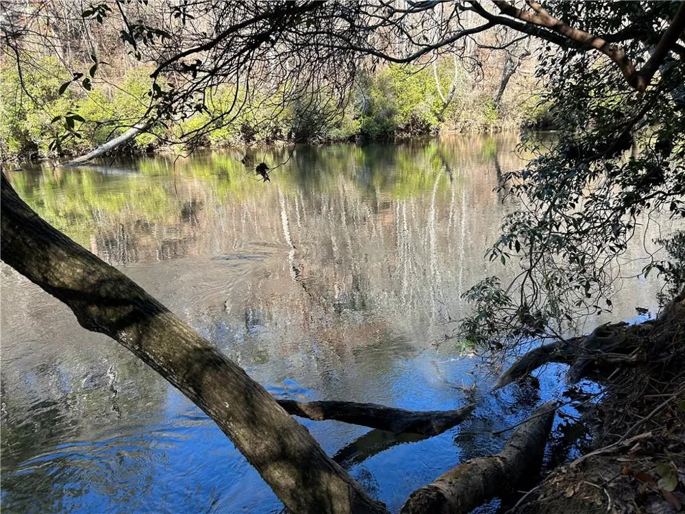 00 Twin River Orchard Road Demorest, GA 30535