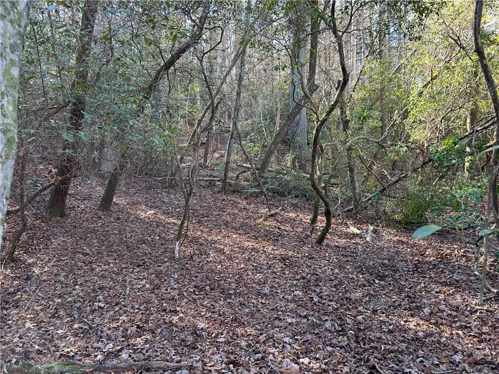 00 Twin River Orchard Road Demorest, GA 30535
