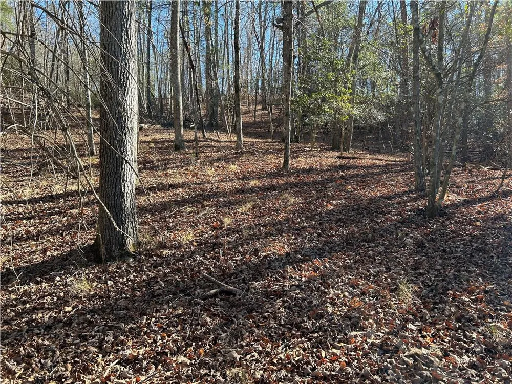 00 Twin River Orchard Road Demorest, GA 30535