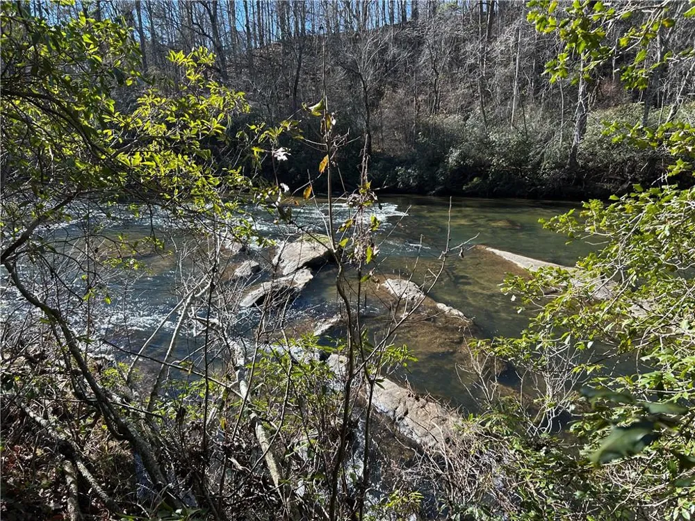 00 Twin River Orchard Road Demorest, GA 30535