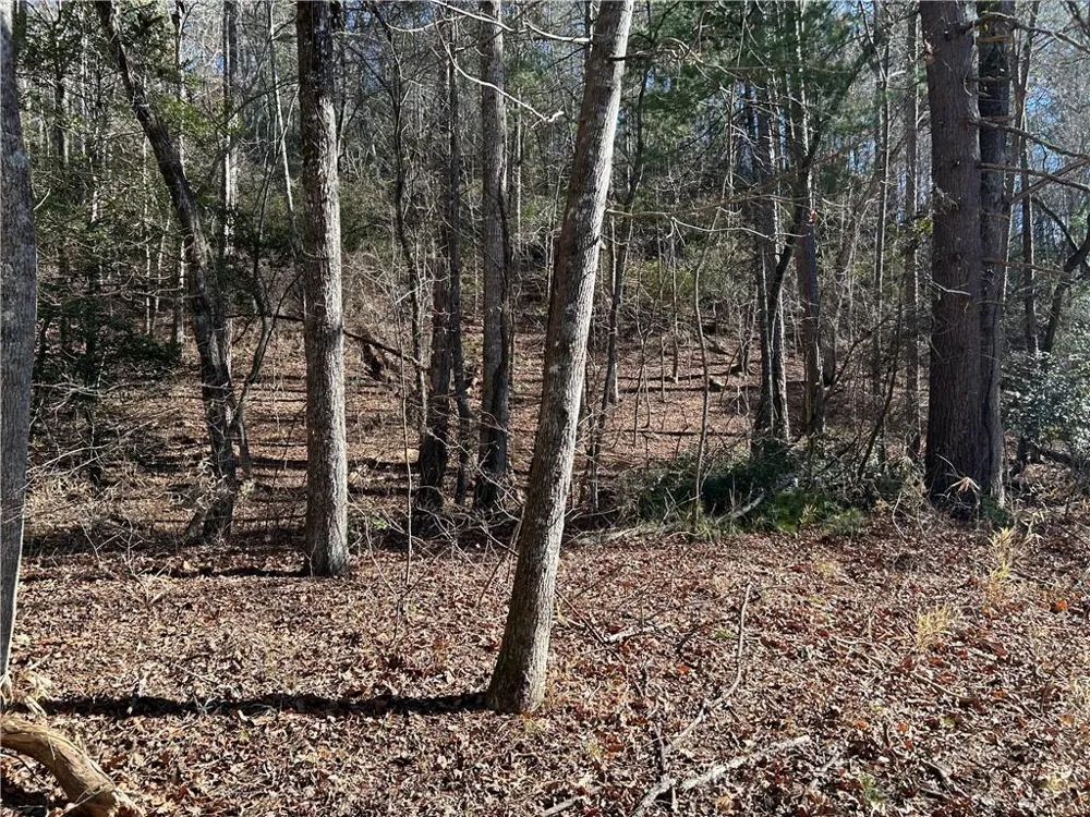 00 Twin River Orchard Road Demorest, GA 30535