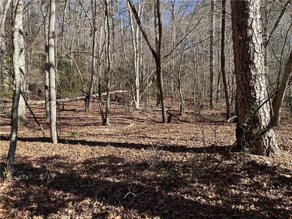 00 Twin River Orchard Road Demorest, GA 30535