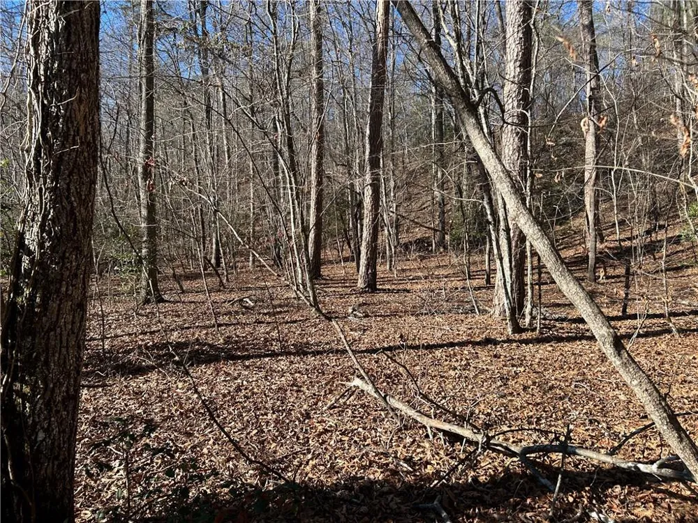 00 Twin River Orchard Road Demorest, GA 30535