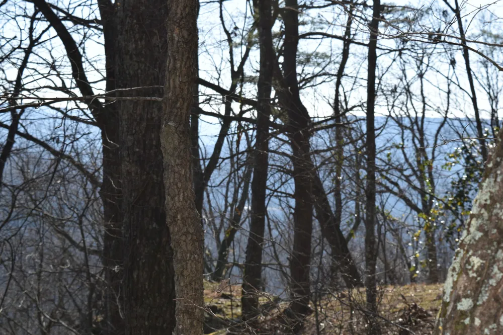 21 Laurel Lake Dr Monteagle, TN 37356