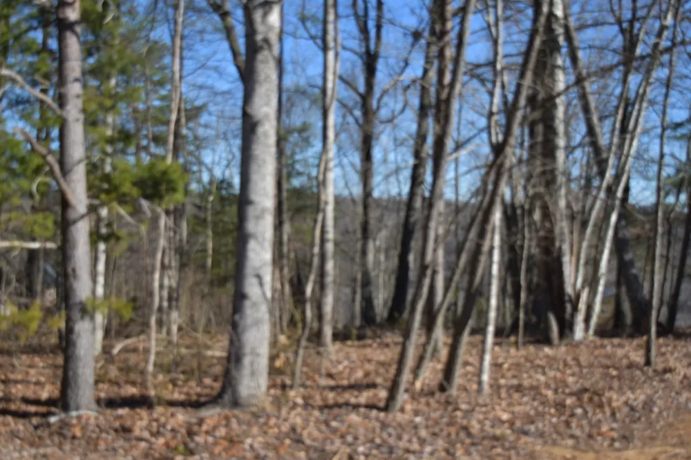 21 Laurel Lake Dr Monteagle, TN 37356