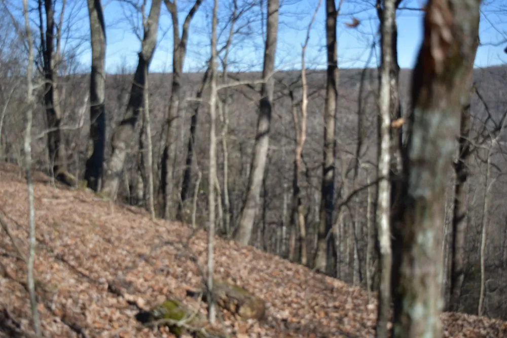 21 Laurel Lake Dr Monteagle, TN 37356