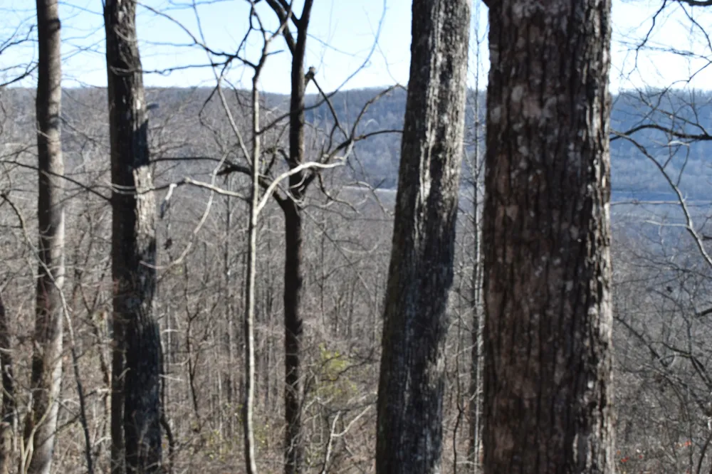 21 Laurel Lake Dr Monteagle, TN 37356