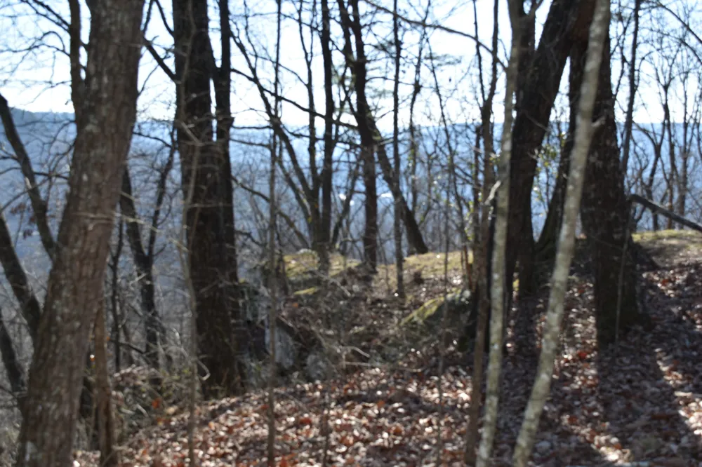 21 Laurel Lake Dr Monteagle, TN 37356