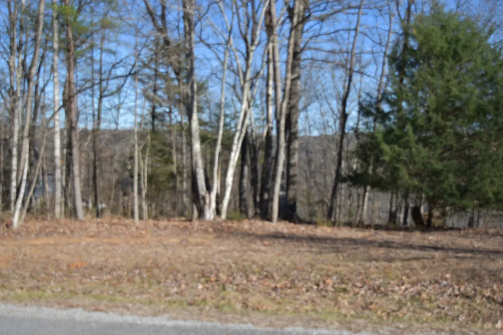 21 Laurel Lake Dr Monteagle, TN 37356