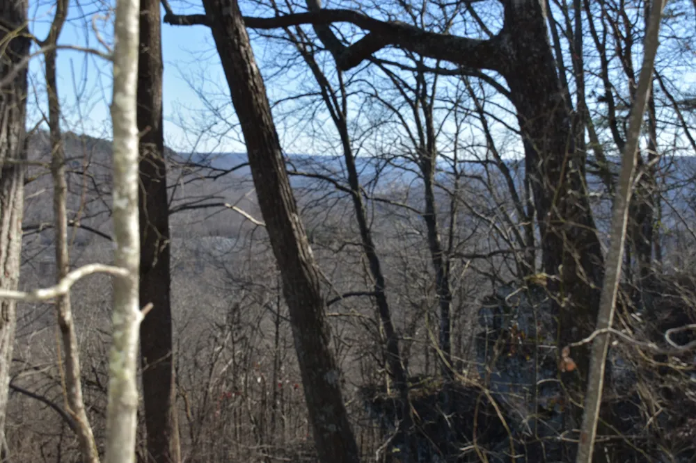 21 Laurel Lake Dr Monteagle, TN 37356