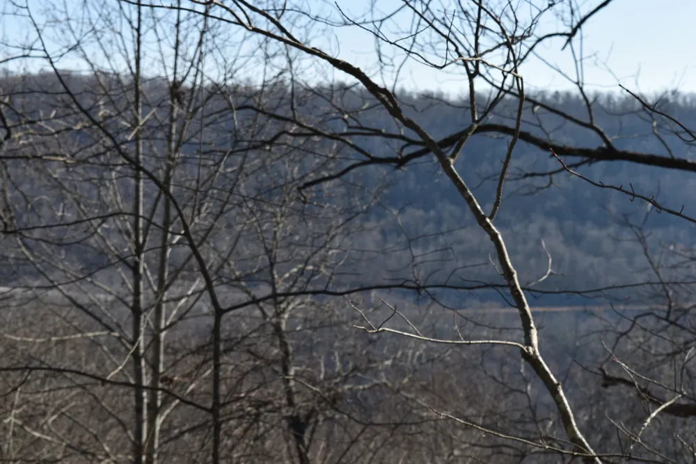 21 Laurel Lake Dr Monteagle, TN 37356