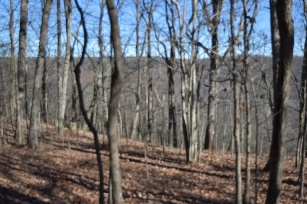 21 Laurel Lake Dr Monteagle, TN 37356
