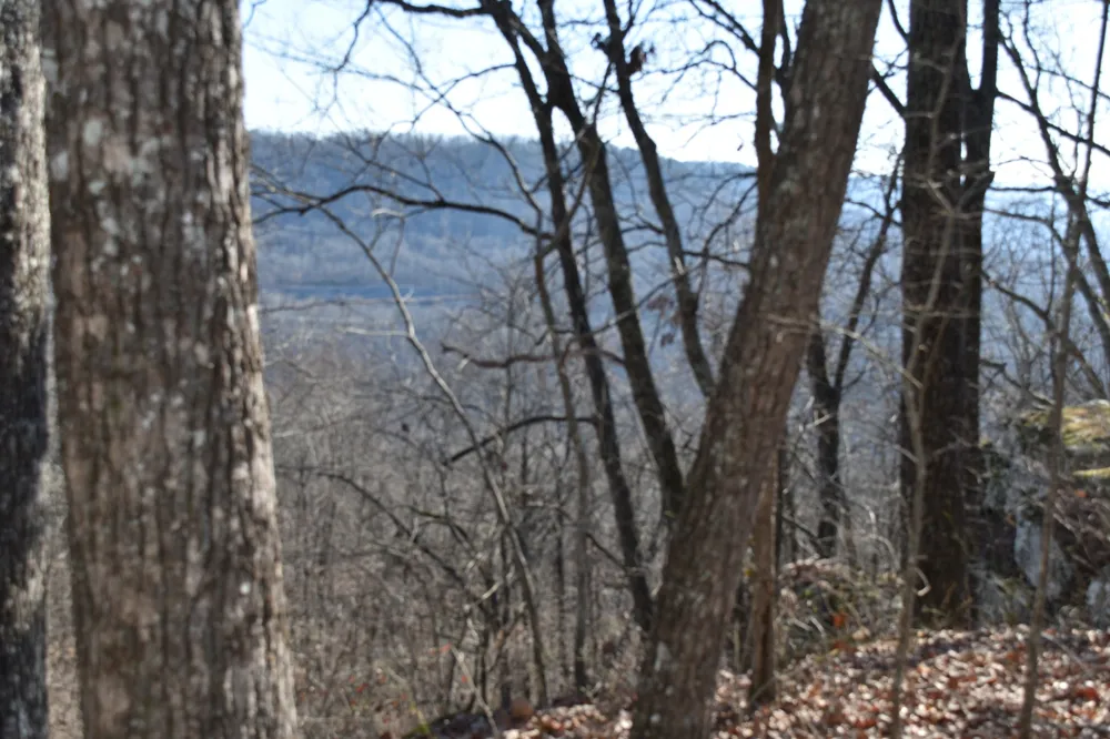 21 Laurel Lake Dr Monteagle, TN 37356