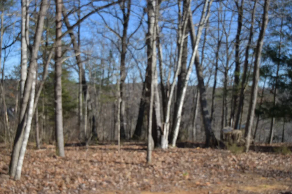 21 Laurel Lake Dr Monteagle, TN 37356