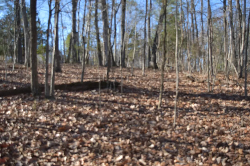 21 Laurel Lake Dr Monteagle, TN 37356
