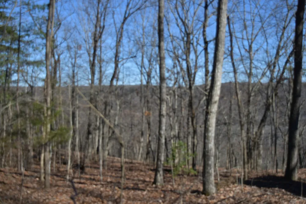 21 Laurel Lake Dr Monteagle, TN 37356