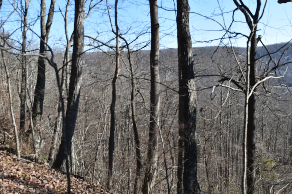21 Laurel Lake Dr Monteagle, TN 37356