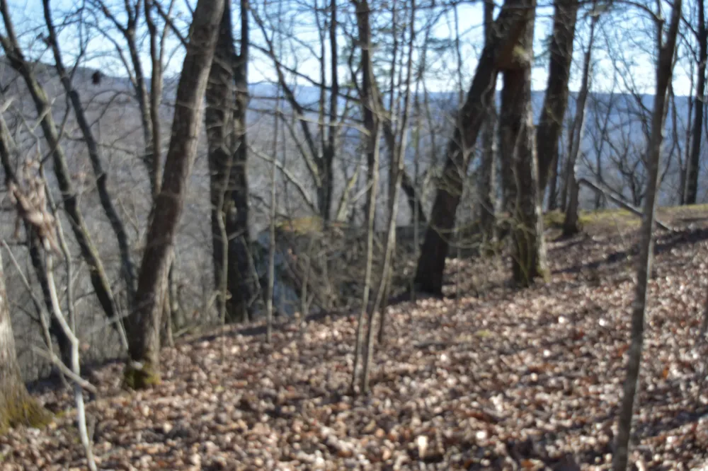 21 Laurel Lake Dr Monteagle, TN 37356