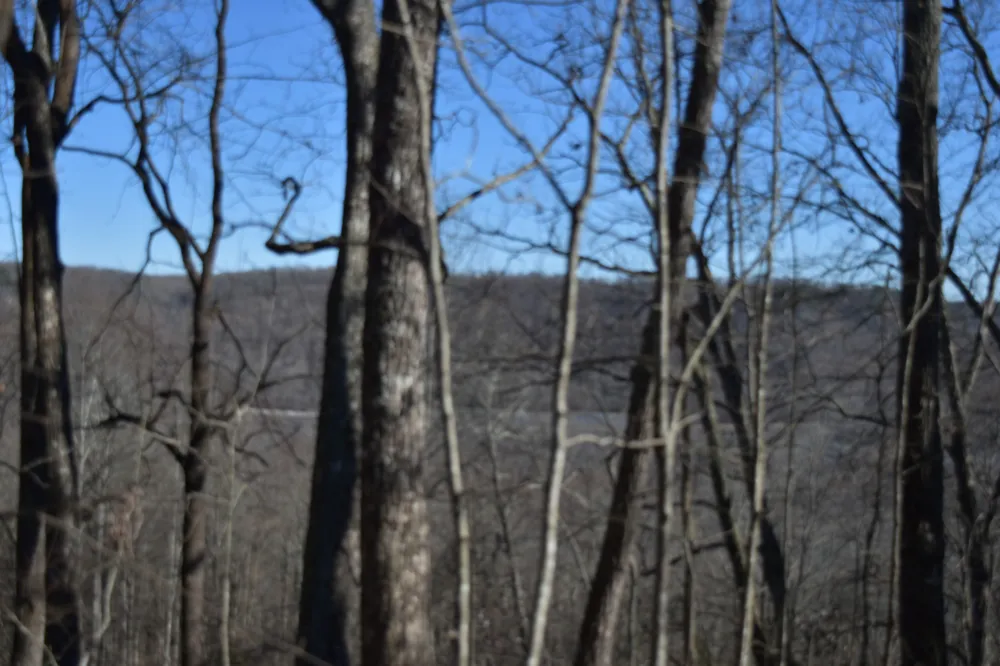 21 Laurel Lake Dr Monteagle, TN 37356