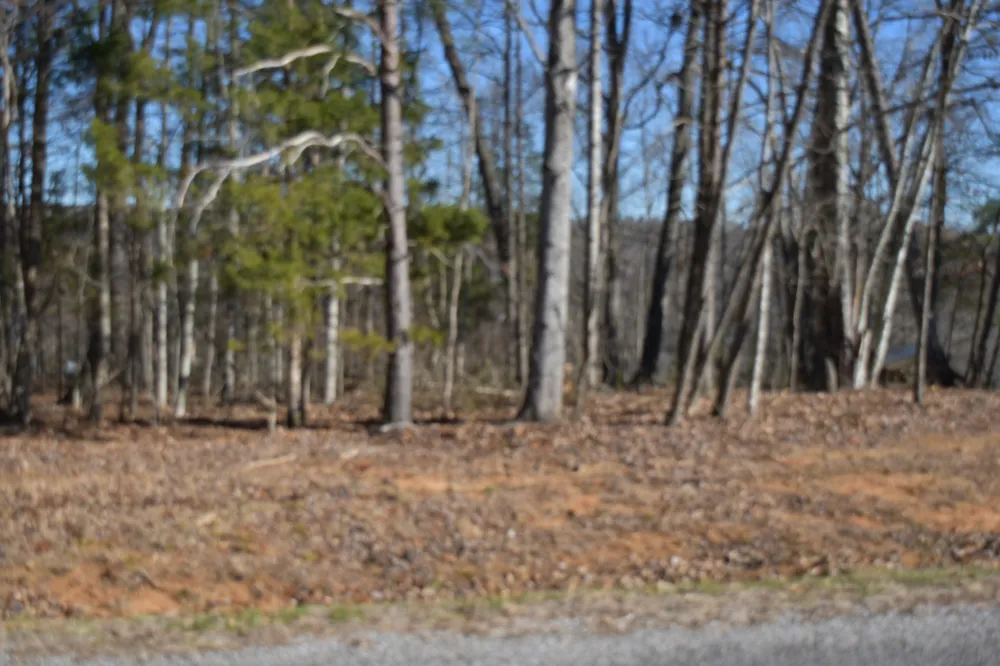21 Laurel Lake Dr Monteagle, TN 37356