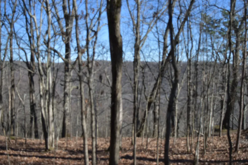 21 Laurel Lake Dr Monteagle, TN 37356
