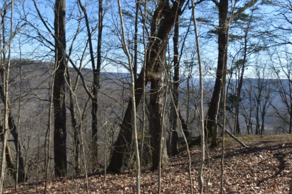 21 Laurel Lake Dr Monteagle, TN 37356