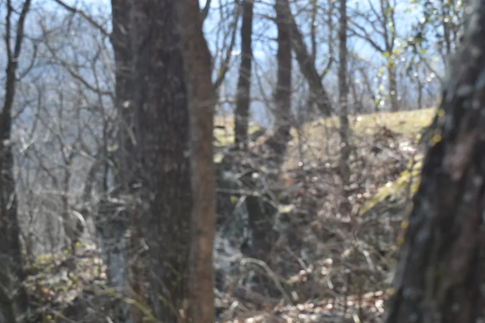 21 Laurel Lake Dr Monteagle, TN 37356