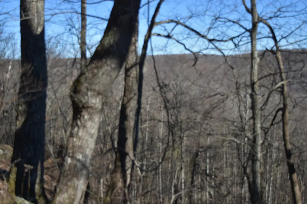 21 Laurel Lake Dr Monteagle, TN 37356