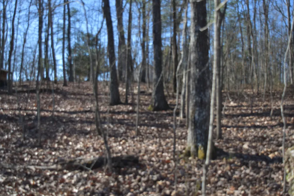 21 Laurel Lake Dr Monteagle, TN 37356