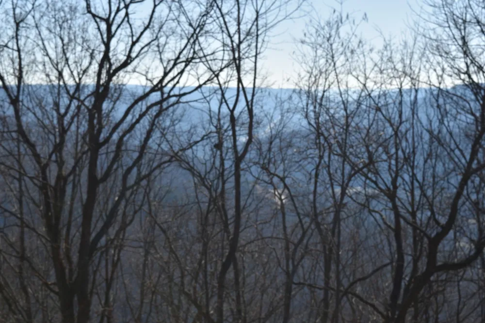 21 Laurel Lake Dr Monteagle, TN 37356