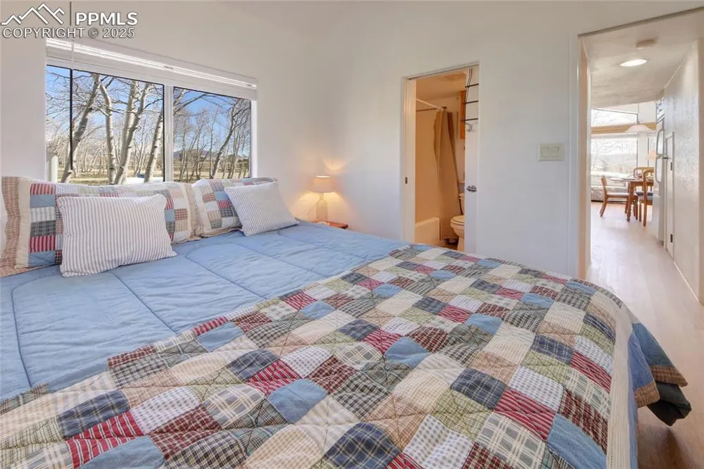 65 Sunshine Loop Fairplay, CO 80440