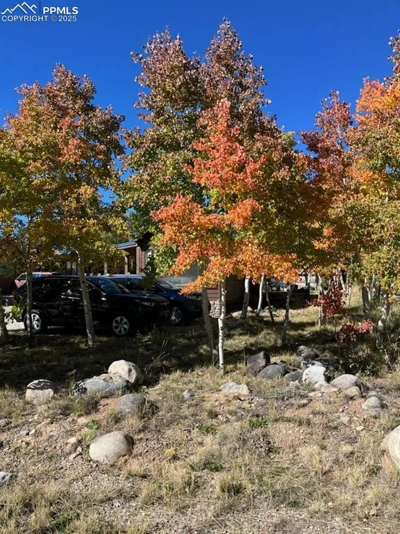 65 Sunshine Loop Fairplay, CO 80440